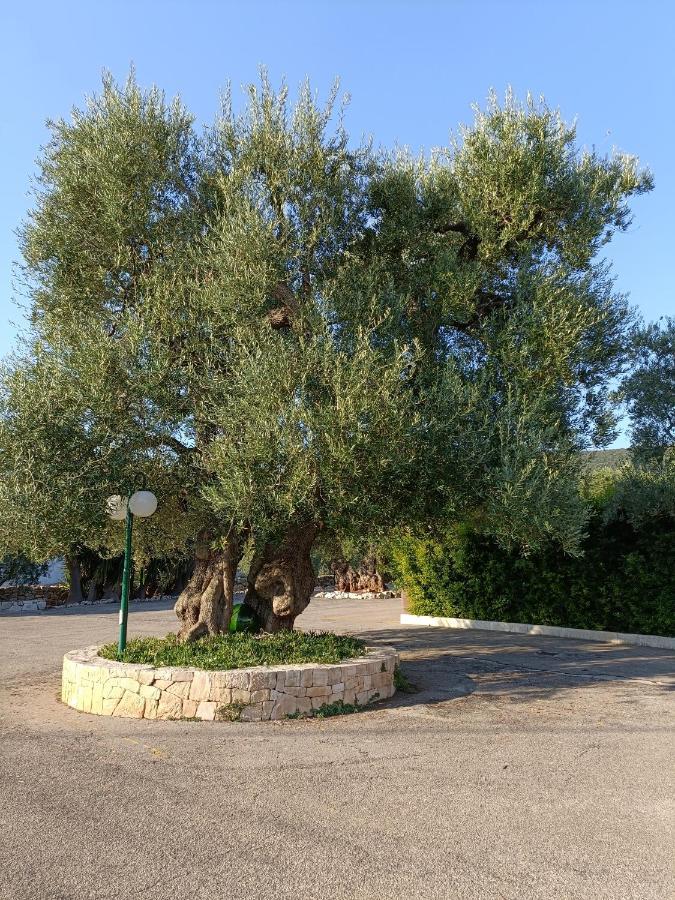 Masseria Galleppa By Apulia Hospitality Macchia di Monte Exterior photo